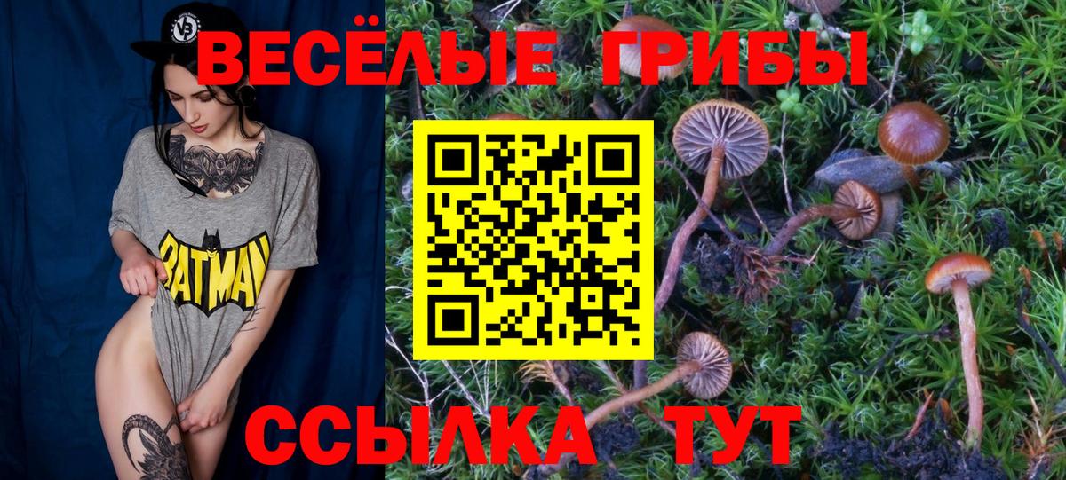 Галлюциногенные грибы Psilocybe Волжский