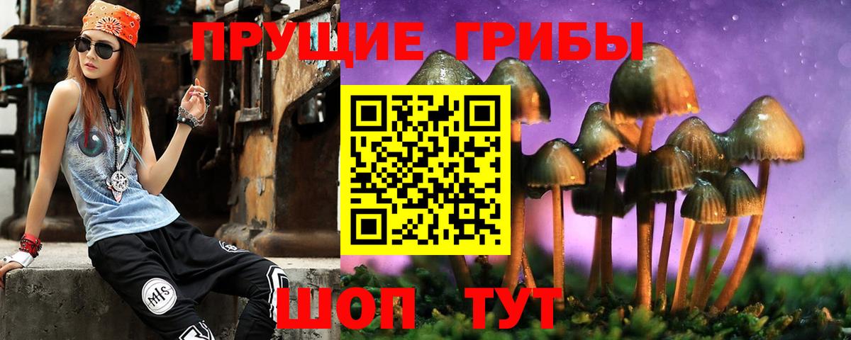 Галлюциногенные грибы Psilocybe  Галлюциногенные грибы MAGIC MUSHROOMS  Волжский  Вход с VPN 